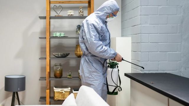Técnico con mono de protección pulverizando tratamiento en un salón durante una retirada de avispas y nidos en León