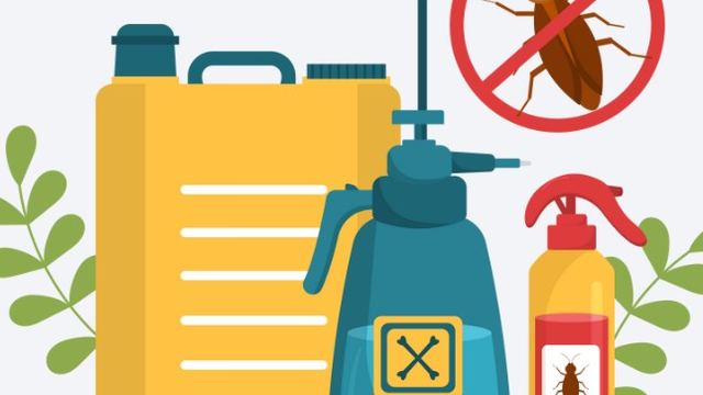 Pulverizadores y productos insecticidas de uso profesional contra cucarachas en el blog de Control de Plagas León