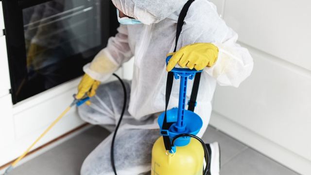 Técnico con equipo de protección aplicando insecticida junto al horno de una cocina durante un tratamiento contra hormigas en León