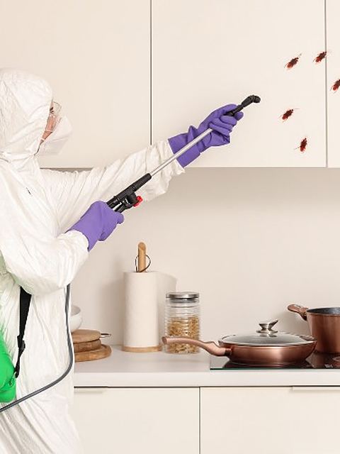 Técnico con equipo de protección aplicando tratamiento en los armarios de una cocina durante un tratamiento contra hormigas en León