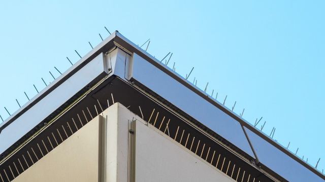 Sistema antipalomas instalado en la cubierta de una nave industrial, trabajo real en un polígono de León Sistema antipalomas instalado en la cubierta de una nave industrial, trabajo real en un polígono de León
