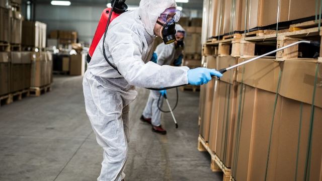 Técnico inspeccionando palés recién descargados en la zona de recepción de un almacén en León Técnico inspeccionando palés recién descargados en la zona de recepción de un almacén en León