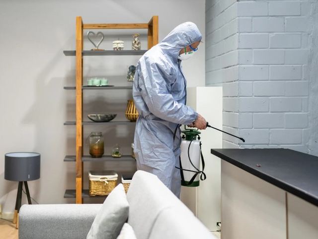 Técnico con equipo de protección aplicando tratamiento junto a una encimera de cocina en un plan de control de plagas para empresas de León