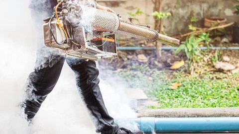 Técnico con máquina de nebulización generando humo insecticida junto a una zona ajardinada en Control de Plagas León Técnico con máquina de nebulización generando humo insecticida junto a una zona ajardinada en Control de Plagas León