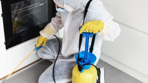 Técnico con equipo de protección aplicando insecticida junto al horno de una cocina en Control de Plagas León Técnico con equipo de protección aplicando insecticida junto al horno de una cocina en Control de Plagas León