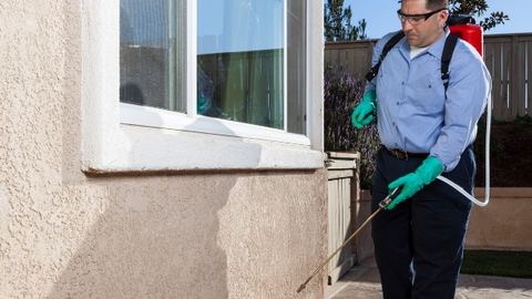 Técnico pulverizando la base de la fachada exterior de una vivienda en Control de Plagas León Técnico pulverizando la base de la fachada exterior de una vivienda en Control de Plagas León