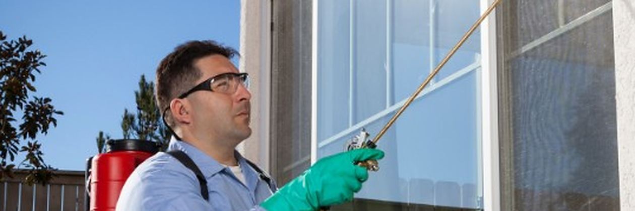 Técnico con máscara y equipo de protección completo fumigando el exterior de un edificio en León