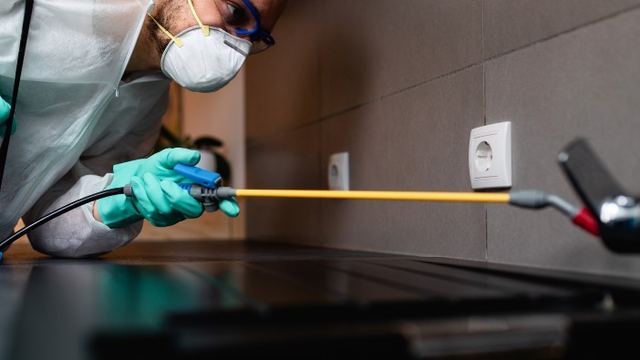 Técnico con mono de protección pulverizando tratamiento en un salón durante un tratamiento contra polillas en León