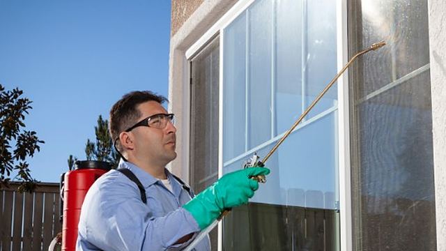 Técnico tratando el exterior de una vivienda junto a una ventana durante un tratamiento contra polillas en León