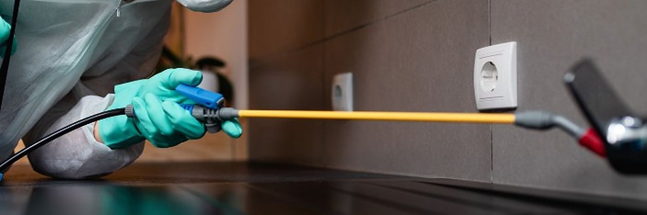 Técnico con mono de protección pulverizando tratamiento en un salón en un servicio de control de plagas en Astorga Técnico con mono de protección pulverizando tratamiento en un salón en un servicio de control de plagas en Astorga